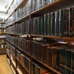 Editorial: noviembre de 2024