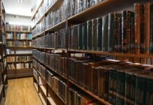 Editorial: noviembre de 2024