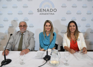 Avanza en el Senado el proyecto para sancionar las falsas denuncias: penas más duras y foco en el dolo