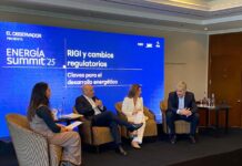 RIGI y desregulación: el nuevo tablero del desarrollo energético argentino