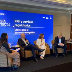 RIGI y desregulación: el nuevo tablero del desarrollo energético argentino