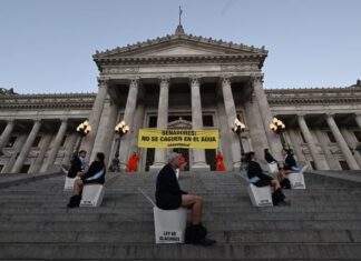 Martínez de Giorgi procesó a militantes de Greenpeace por la protesta con inodoros en el Congreso