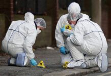 130 años del Cuerpo Médico Forense: el lugar donde los cuerpos empiezan a hablar ante la Justicia
