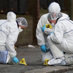 130 años del Cuerpo Médico Forense: el lugar donde los cuerpos empiezan a hablar ante la Justicia