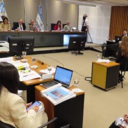 Violencia laboral, la principal causa de los juicios políticos contra jueces y fiscales en Corrientes