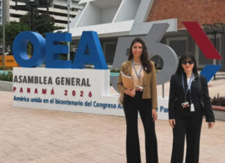 Usina de Justicia llevó a la OEA un proyecto para crear una convención regional sobre los derechos humanos de las víctimas María Jimena Molina y Mariana Romano.