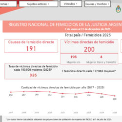 La Corte lanzó un tablero interactivo para analizar femicidios: en 2025 hubo 200 víctimas y cerca de 200 presuntos autores identificados