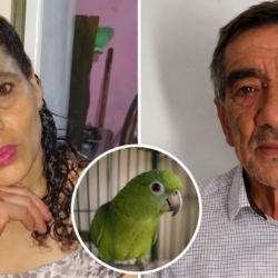 “¡Ay, por favor, soltame!”: confirman la perpetua por el femicidio en el que un loro repetía los gritos de la víctima Elizabeth Toledo y Jorge Raúl Álvarez. La mujer fue asesinada en diciembre de 2018.