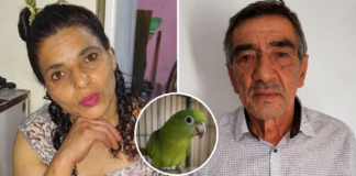 “¡Ay, por favor, soltame!”: confirman la perpetua por el femicidio en el que un loro repetía los gritos de la víctima Elizabeth Toledo y Jorge Raúl Álvarez. La mujer fue asesinada en diciembre de 2018.