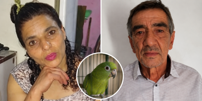 Elizabeth Toledo y Jorge Raúl Álvarez. La mujer fue asesinada en diciembre de 2018.